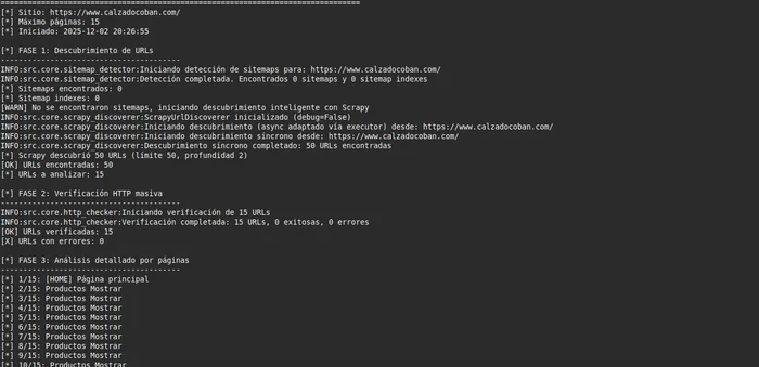 Imagen del proyecto Sistema de Auditoria SEO Tecnica Automatizada