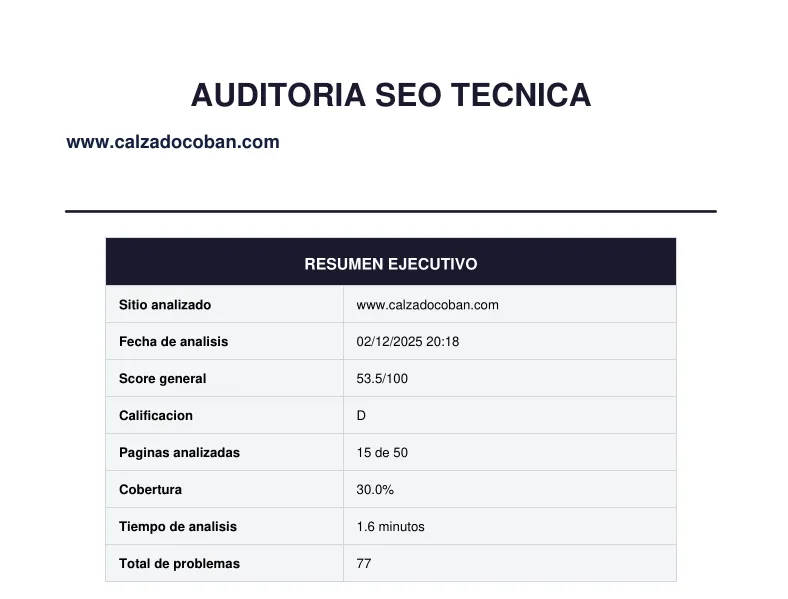 Pantalla 3 de Herramienta SEO propia: auditoría técnica automatizada de cualquier sitio