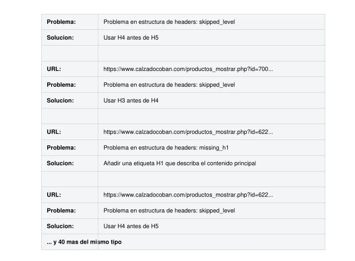 Pantalla 4 de Herramienta SEO propia: auditoría técnica automatizada de cualquier sitio